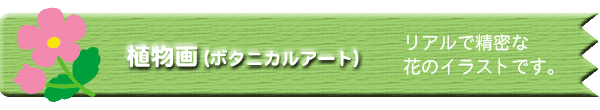 A^Cg